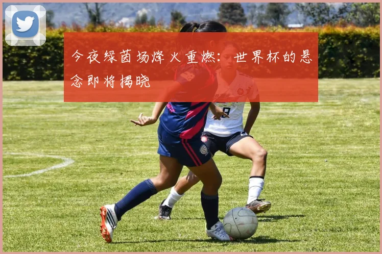今夜绿茵场烽火重燃：世界杯的悬念即将揭晓