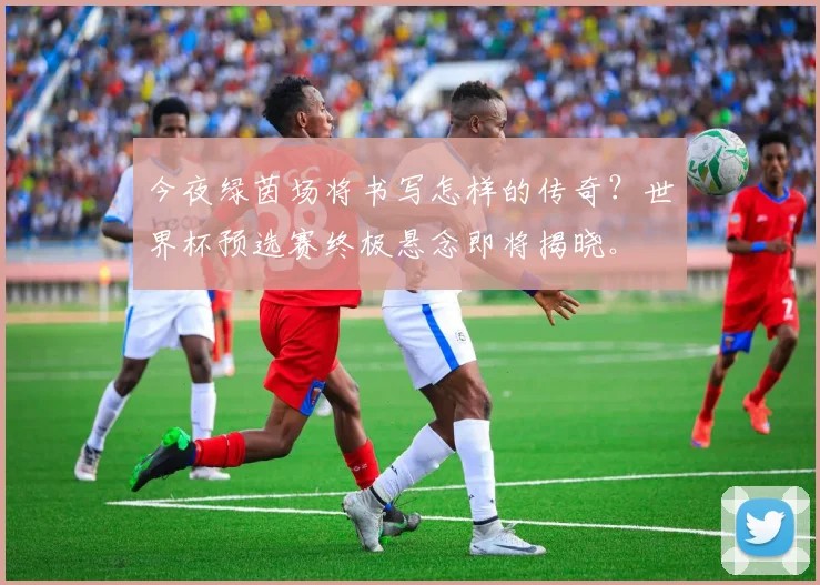 今夜绿茵场将书写怎样的传奇？世界杯预选赛终极悬念即将揭晓。