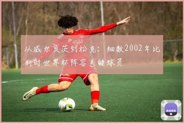 从威尔莫茨到松克：细数2002年比利时世界杯阵容关键球员