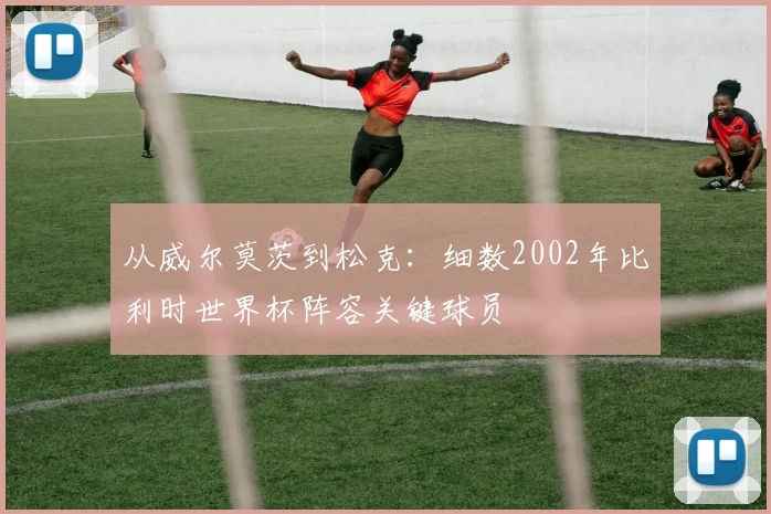 从威尔莫茨到松克：细数2002年比利时世界杯阵容关键球员